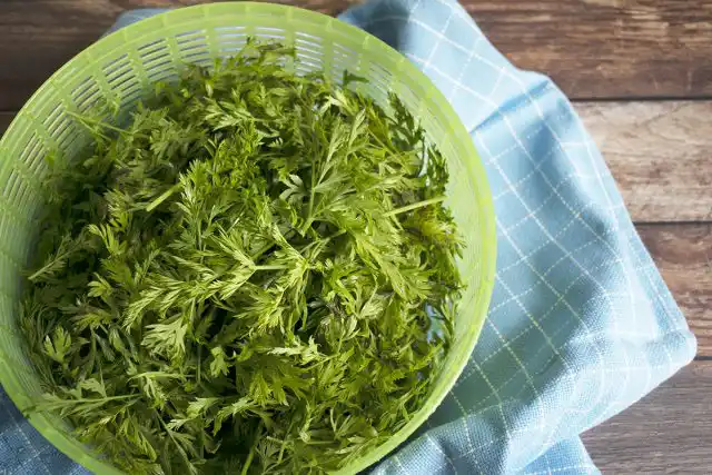 В України морковная ботва не так популярна, однако наши предки всегда имели ее на столе