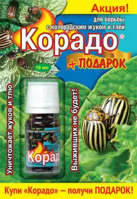«Корадо» — эффективный препарат для борьбы с колорадским жуком и тлей