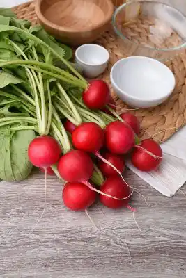 Сорт редиса «Меркадо»