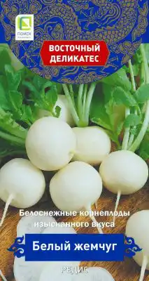 Сорт редиса «Белый жемчуг»
