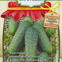 Гибрид огурца «Дачный Посол F1»