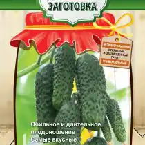 Партенокарпический гибрид огурца «Малыши-карандаши F1»