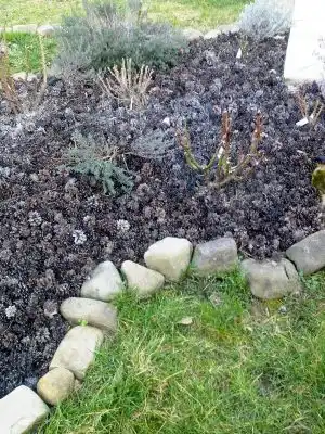 Готовая розовая клумбочка