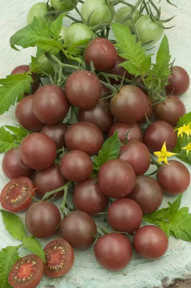 Томат Черный шоколад