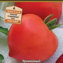 Томат Донской F1