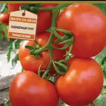 Томат Океан F1