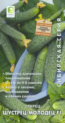 Гибрид огурца «Шустрец-молодец F1»