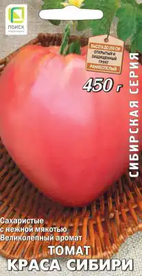 Сорт томата «Краса Сибири»