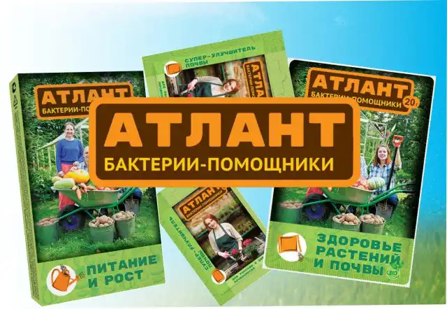 Полезные для почвы бактерии – залог здоровья участка