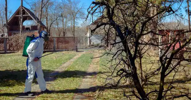 Обработка участка от паразитов