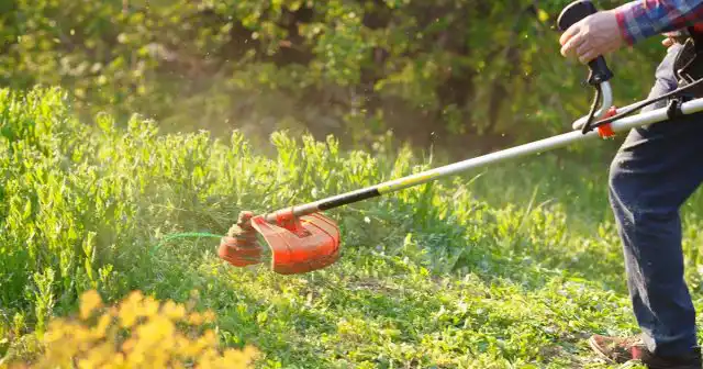 Скашивание высокой травы для профилактики от клеща