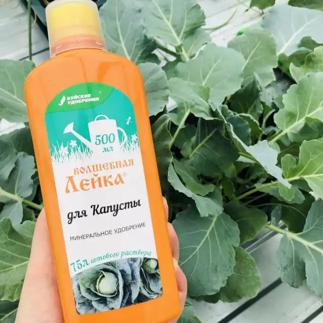 Удобрение «Волшебной лейке для капусты»