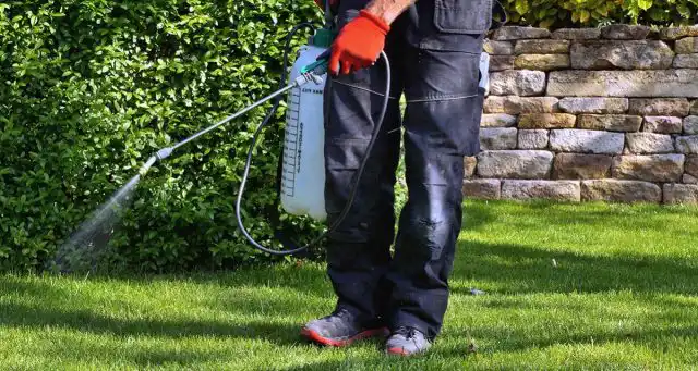 Обработка носимым опрыскивателем