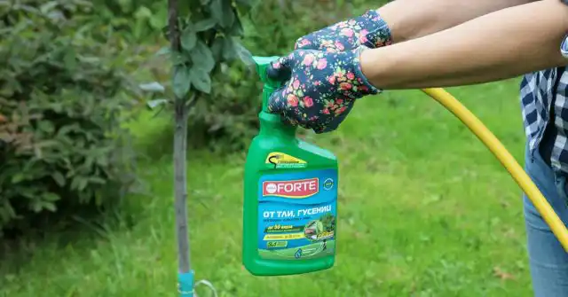 Процесс обработки растений с помощью эжектора