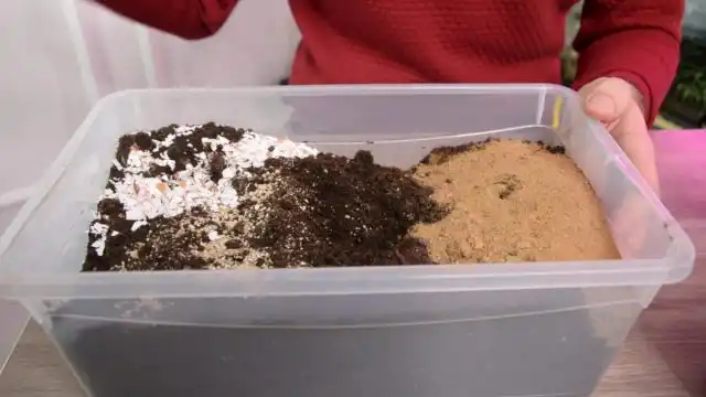 Грунт для рассады томатов должна быть рыхлым, рассыпчатым и легким