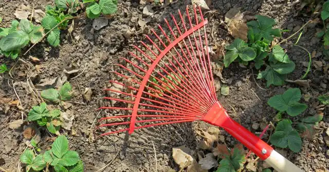 Рыхление земли граблями