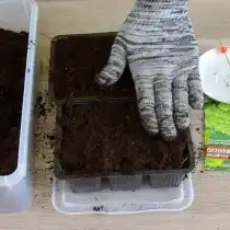 Наполняем кассеты универсальным грунтом