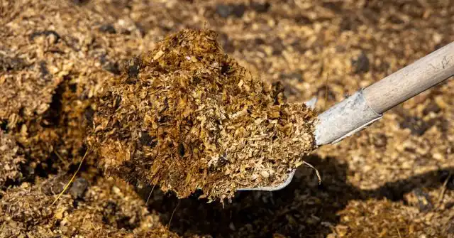 Удобрение почвы опилками