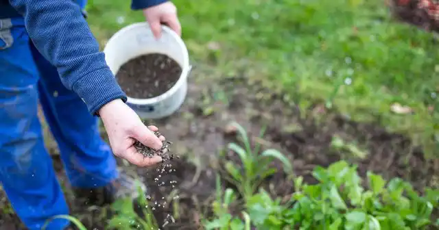 Внесение удобрений на участке