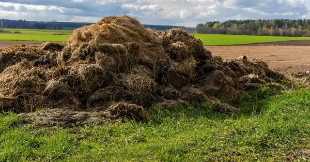 Навоз – отличное удобрение