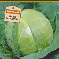 Капуста «Симпатия F1»