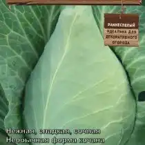 Капуста «Новелла»