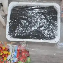 Увлажняем грунт с помощью пульверизатора. Затем создаем эффект парника - накрываем лоток полиэтиленовым пакетом, прозрачной крышкой или стеклом