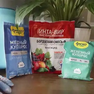 Препараты «Медный купорос» и «Бордоская смесь-Ф» от «Фаско»