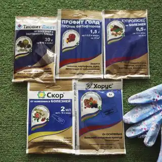 Препараты «Хорус» и «Скор»