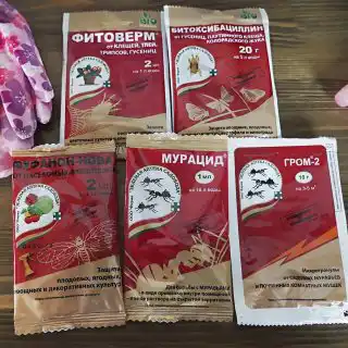 Препарат «Фитоверм»
