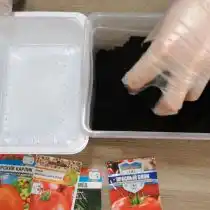 Проделываем в дне емкости дренажные отверстия и засыпаем грунтом