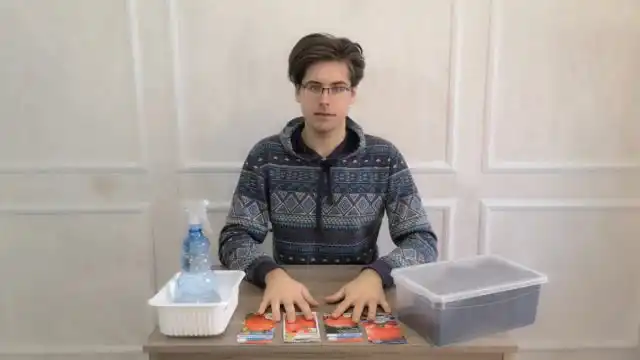 Низькорослі томати чим хороші і
