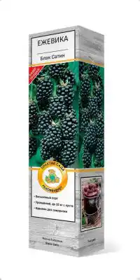 Ежевика Блэк Сатин