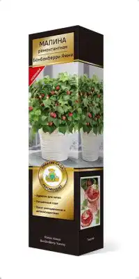 Малина карликовая сорт Бонбонберри Ямми