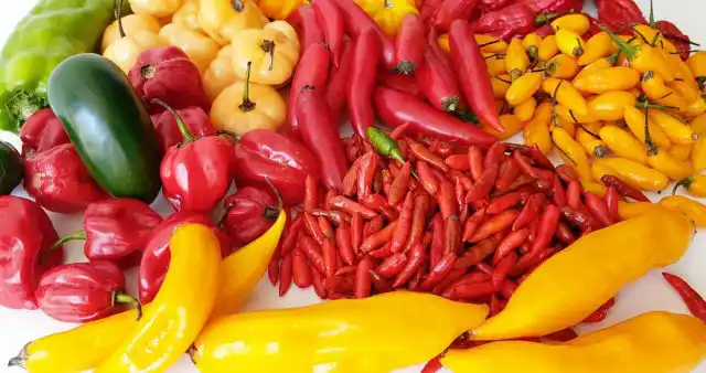 Разнообразные сорта перца