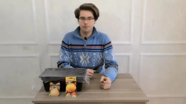 Як правильно посіяти цибулю