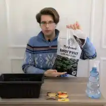 Выбирая грунт, обращаем внимание на такой параметр, как кислотность. Она должна составлять минимум 5,5 рН