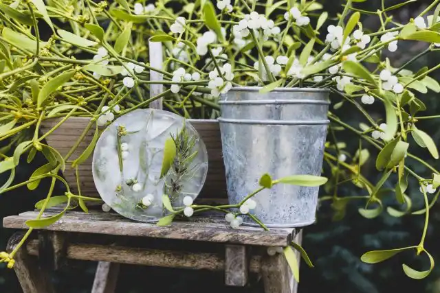 Декор из омелы