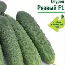 Огурец «Резвый» F1