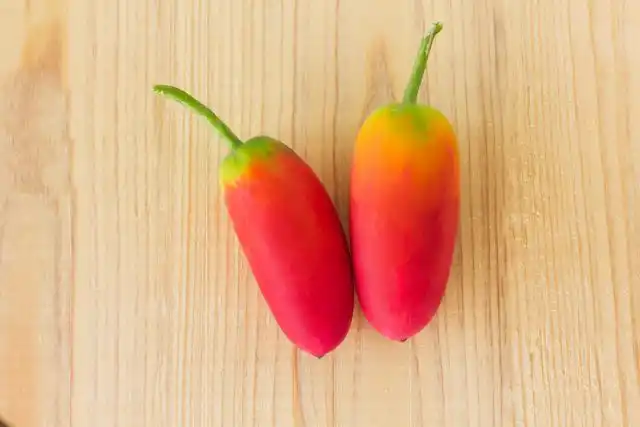 Спелые плоды кокцинии алого цвета, мясистые и сладкие