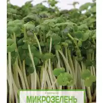 Семена на микрозелень «Горчица Сарептская»