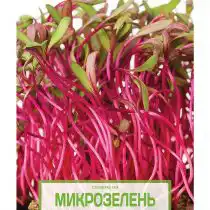 Семена на микрозелень «Свекла столовая»
