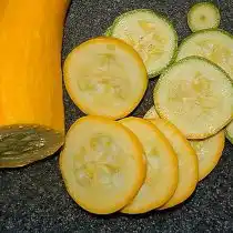 Кабачок «Нежный Зефир» в разрезе
