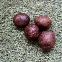 Клубни фиолетового картофеля «Чудесник»