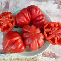 Сорт томата «Тлаколула пинк» © Денис Терентьев и Алексей Кулик