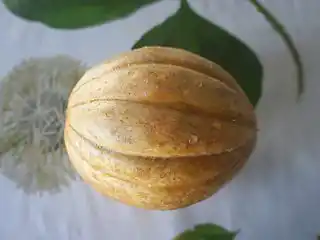 Дыня «Малага»