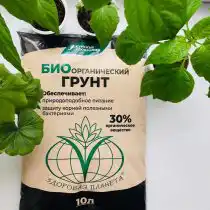 Биоорганический грунт