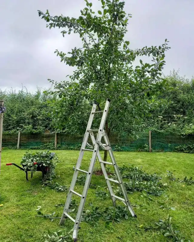 Если процесс формировки начат, запускать его не рекомендуется