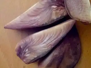 Печёночница в разрезе