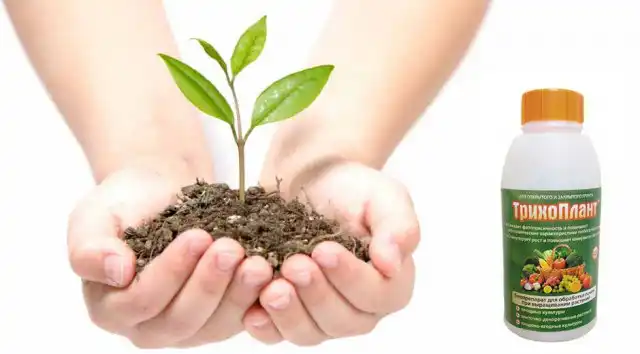 Биопрепарат «Трихоплант»